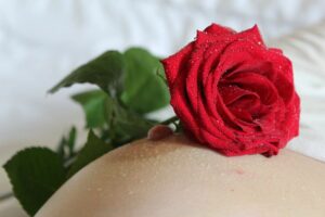 Los mejores grupos de telegramas de desnudos de pechos y rosas